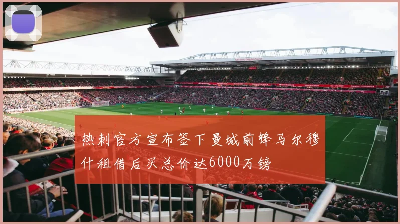 热刺官方宣布签下曼城前锋马尔穆什租借后买总价达6000万镑