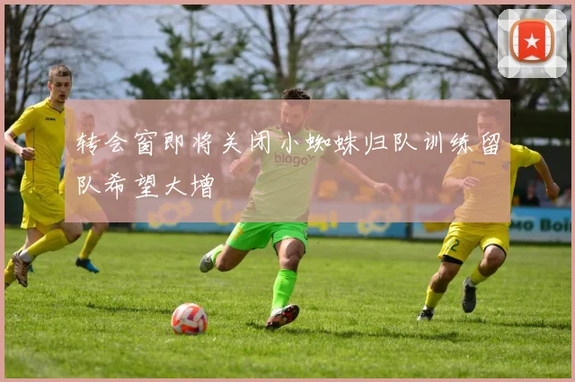 转会窗即将关闭小蜘蛛归队训练留队希望大增